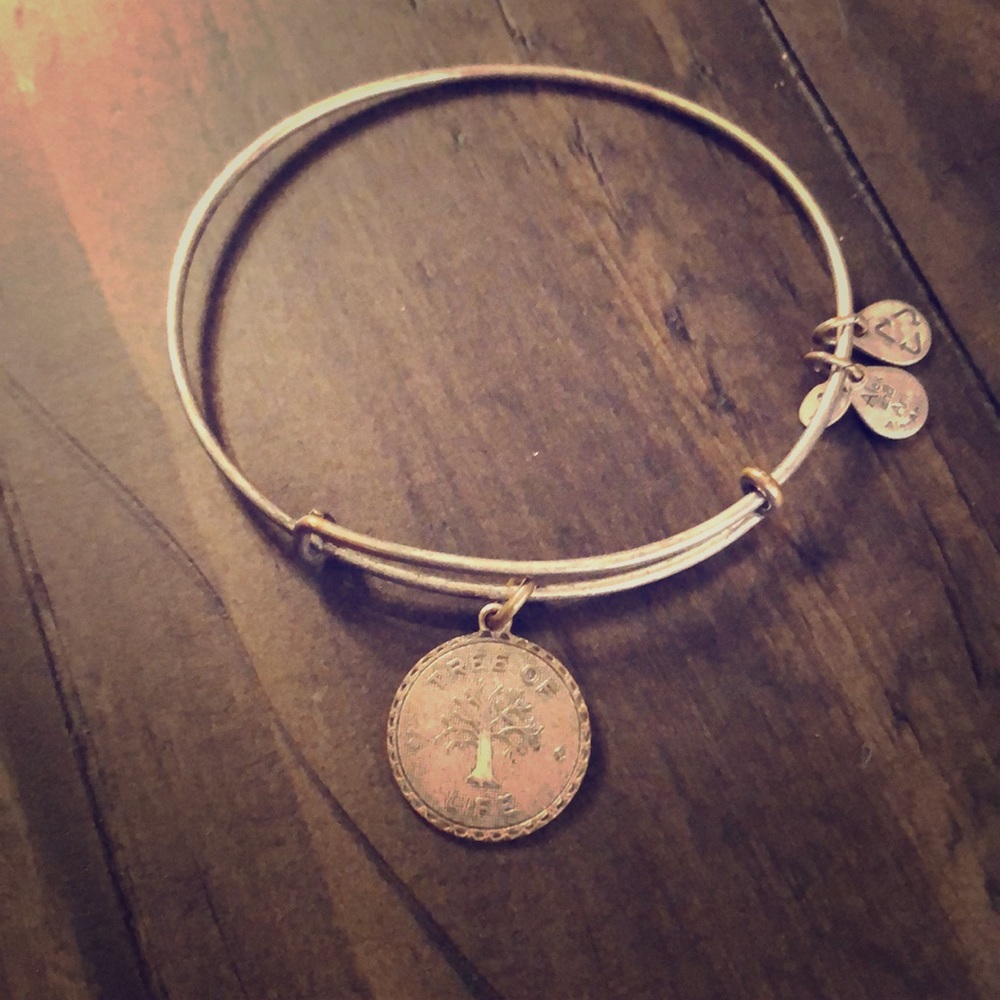 Alex and Ani bracelet